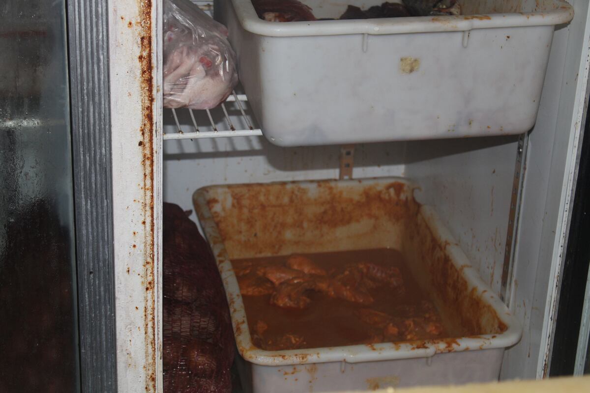 Con roedores y cucarachas, cierran restaurante por insalubre tras operativo sorpresa. Te diremos dónde