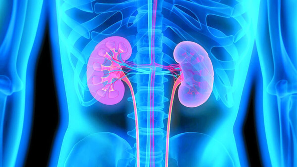 Caja de Seguro Social retomará los programas de trasplante de órganos 