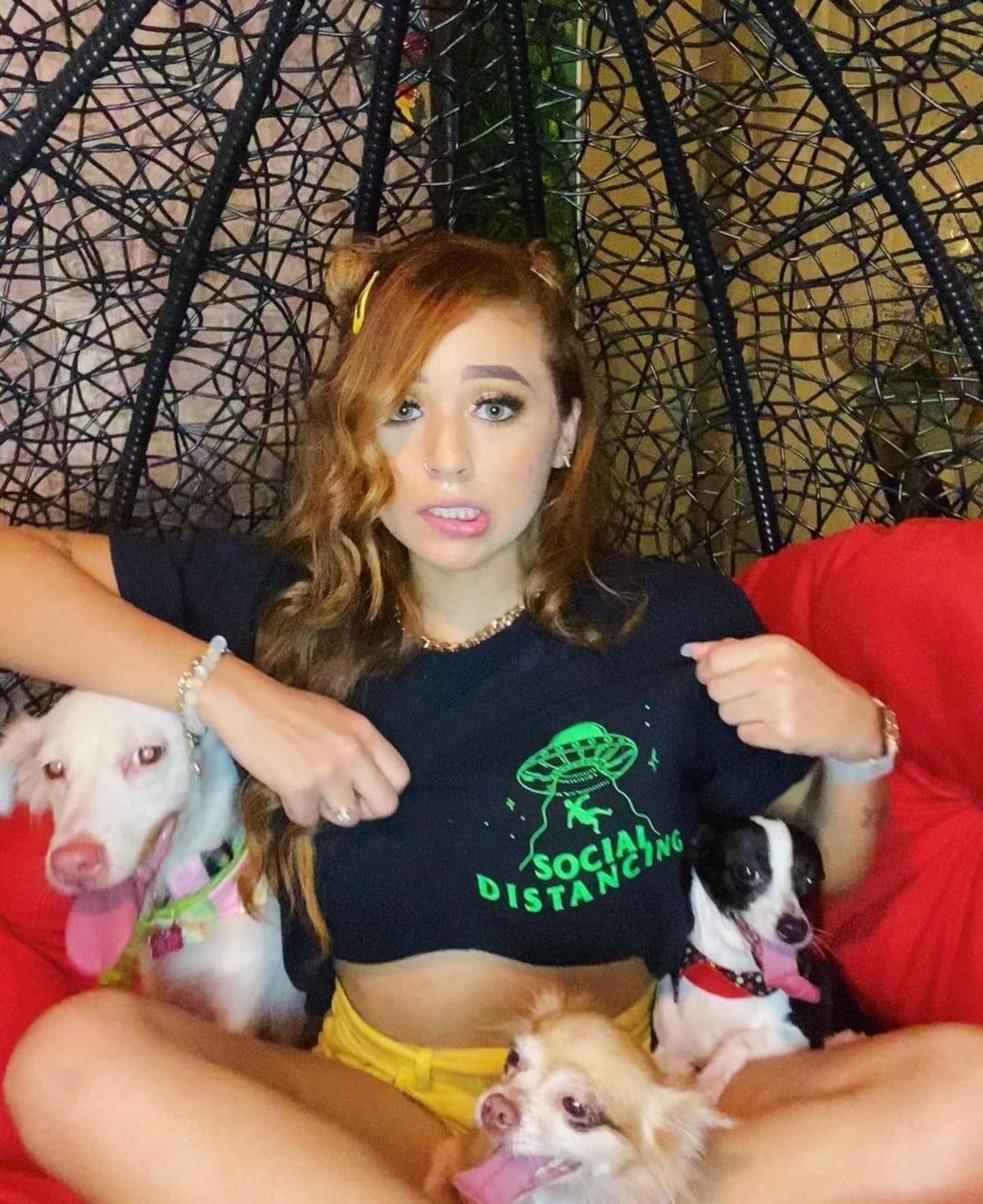 Critican a chica Calle 7 por meter a chihuahua en su pantalón y agitarlo +Video