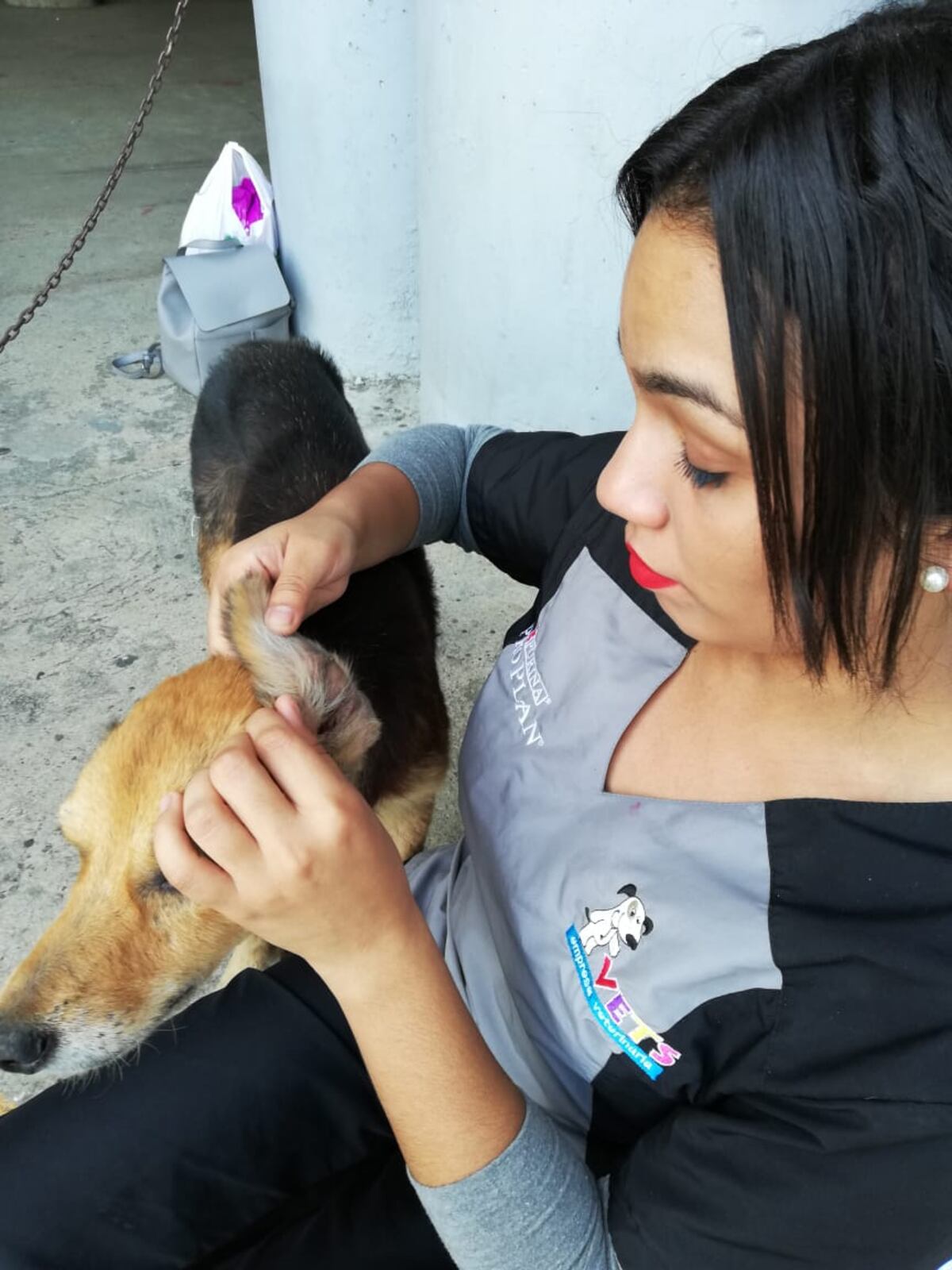 Firulay, la perra más famosa del Rod Carew, ahora tiene una nueva vida