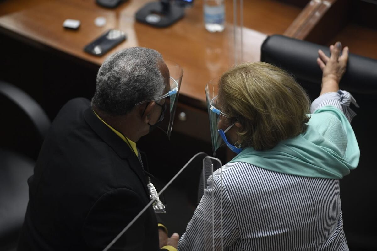 Covid-19 en la Asamblea. Vuelven a sesiones virtuales por contagios