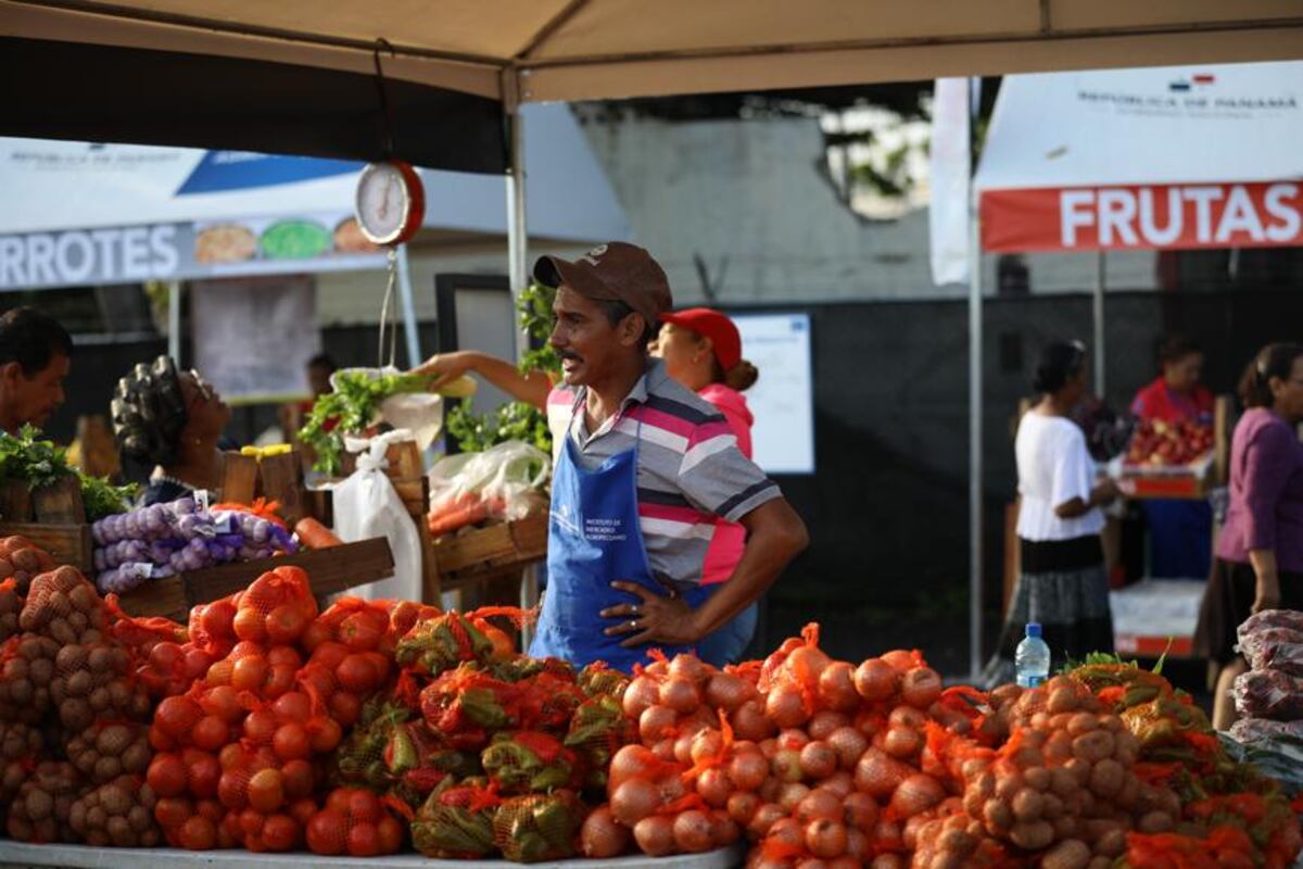 IMA convoca a más de 200 productores