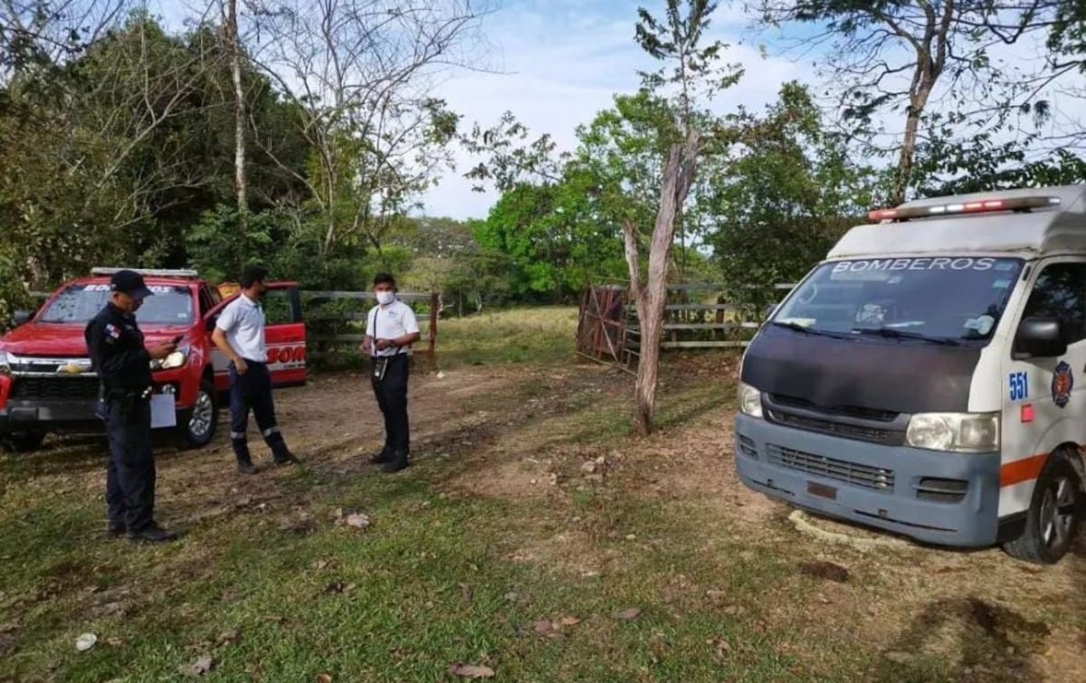 Una persona murió por picadura de abejas en Veraguas