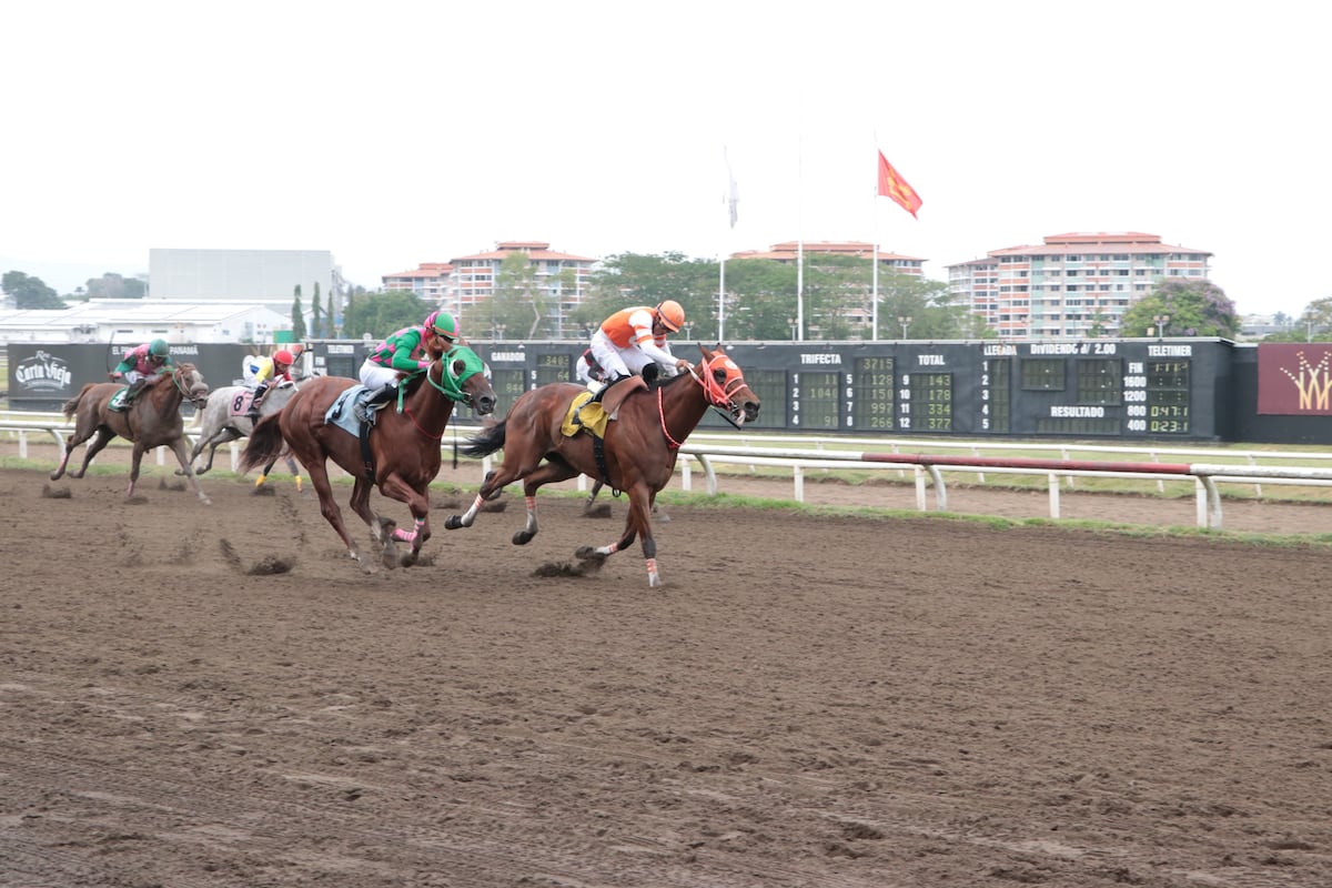 Se vivió el frenesí con el triunfo  de ‘Spectacular Winner’