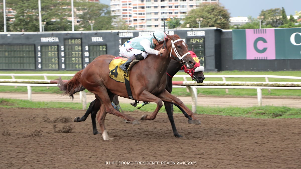 Nueva joya de la hípica panameña: ‘Sol Goforit’ conquista el Clásico con clase y destreza