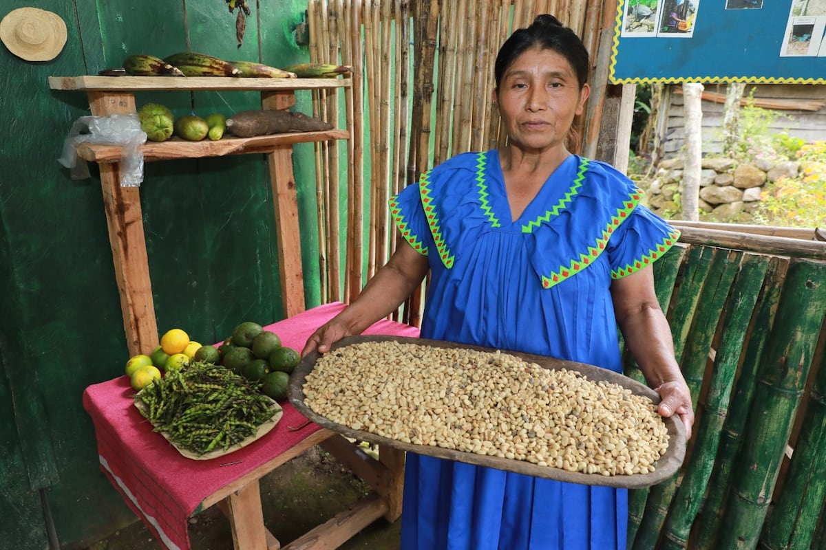 De cafetales a la universidad: la historia de Ilda que está cambiando el destino de sus hijos en la comarca