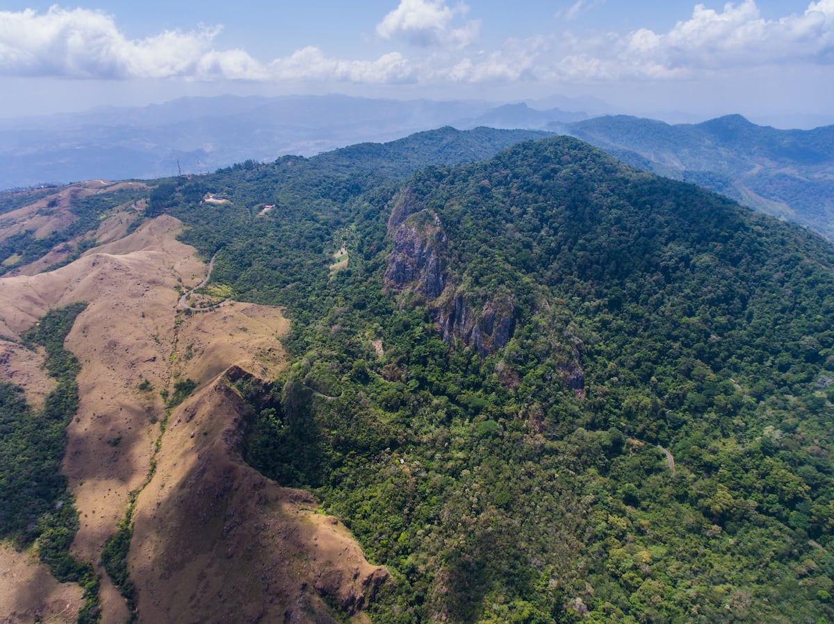 Panamá en alerta por fuertes lluvias: Mi Ambiente cierra áreas protegidas para proteger a visitantes