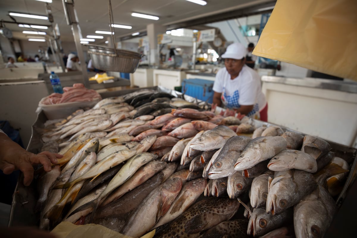 ¡Pescado pa’ to’ el mundo! Mercado de Mariscos se alista para el Viernes Santo