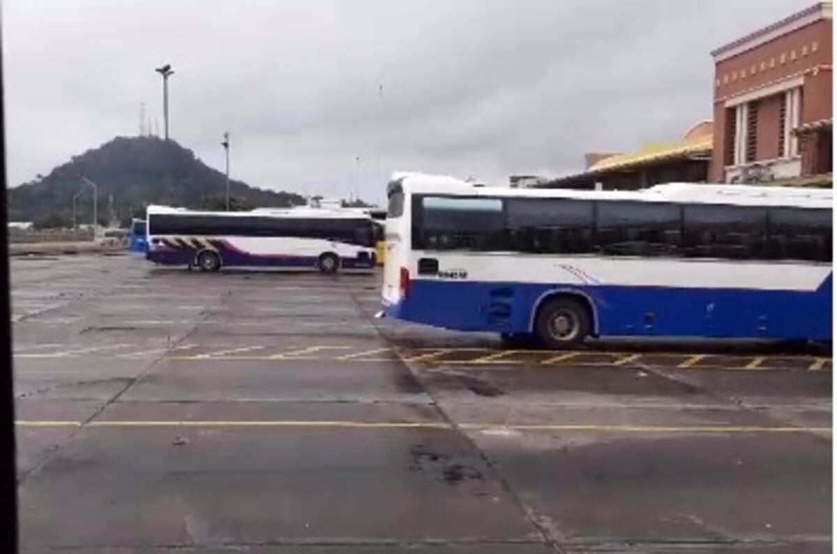 Mujer que viajaba en un bus de Santiago Panamá muere de repente. Buscan descartar sea por Covid. Video