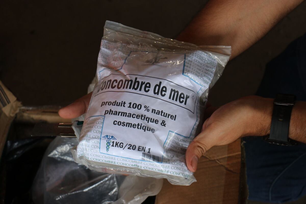 Decomisan Pepino de Mar en polvo en aeropuerto de Tocumen