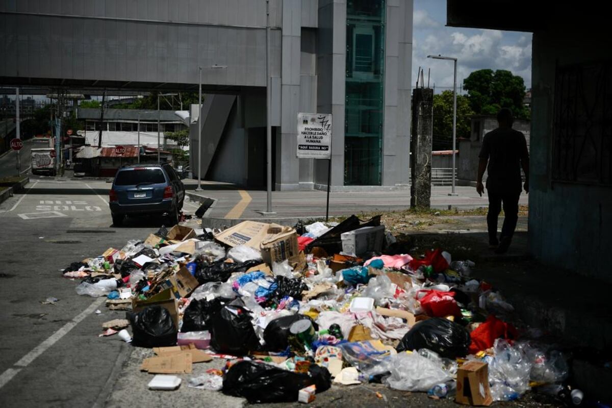 Qué asco. Ratas y basura. Solicitan al ‘flautista mágico’ en los predios de la estación del Metro en San Miguelito