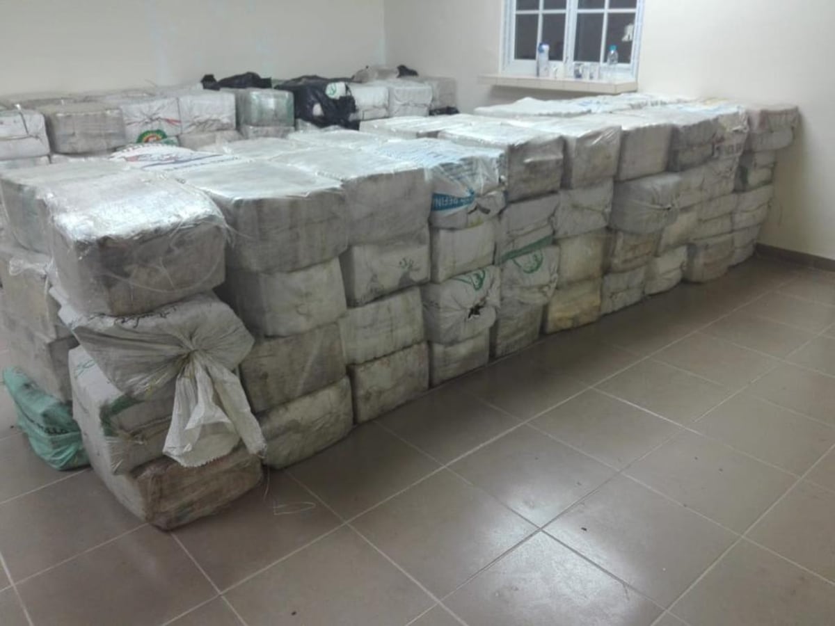 Van 30 toneladas de drogas incautadas en el territorio panameño durante este año