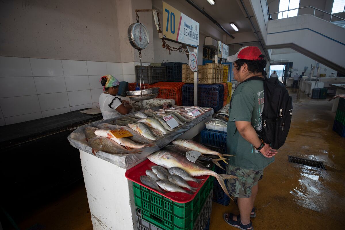 La Cuaresma llega con sabor a mar en el Mercado del Marisco, chequea algunos precios