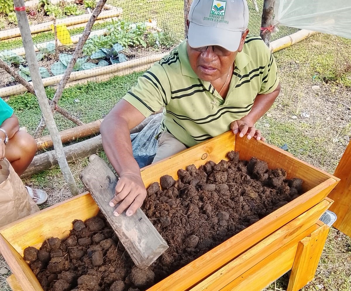 MIDA enseña cómo salvar el ganado en seca: demo de bloques nutricionales en Bugaba
