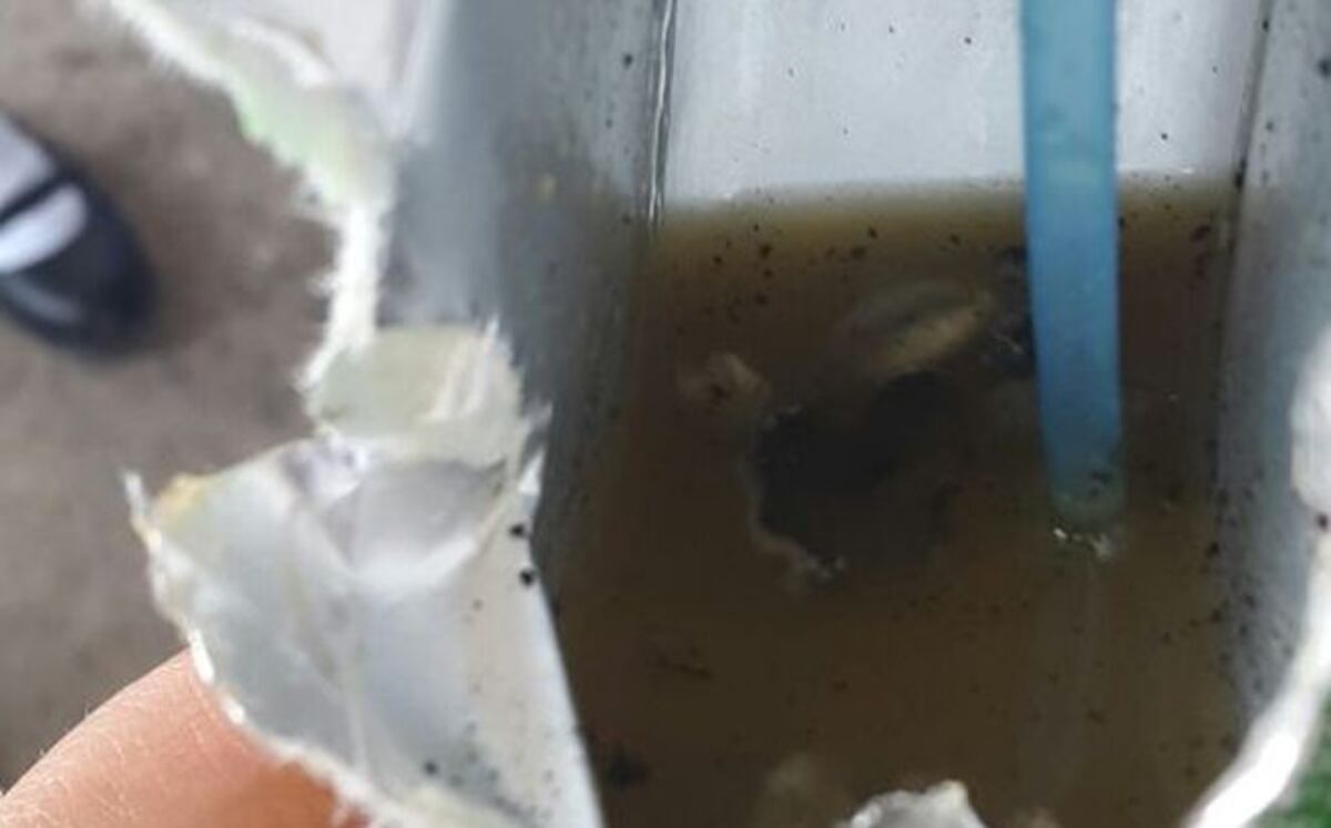 ALERTA. Minsa se pronuncia por jugo que contenía supuestos 'gusanos'