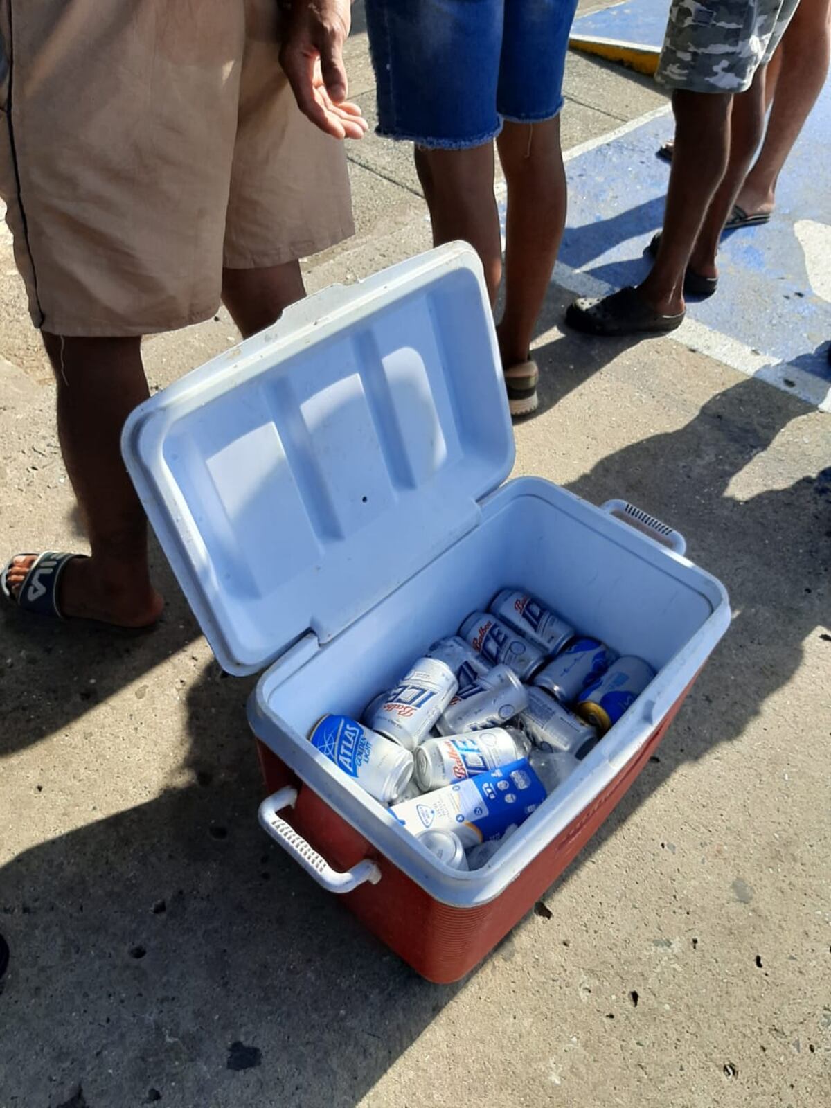 Desmantelan gallera clandestina en Vacamonte