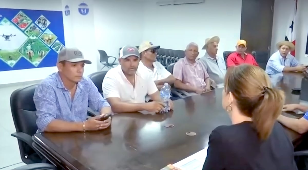 Productores de arroz exigen pago de deuda millonaria al ministerio de Desarrollo Agropecuario