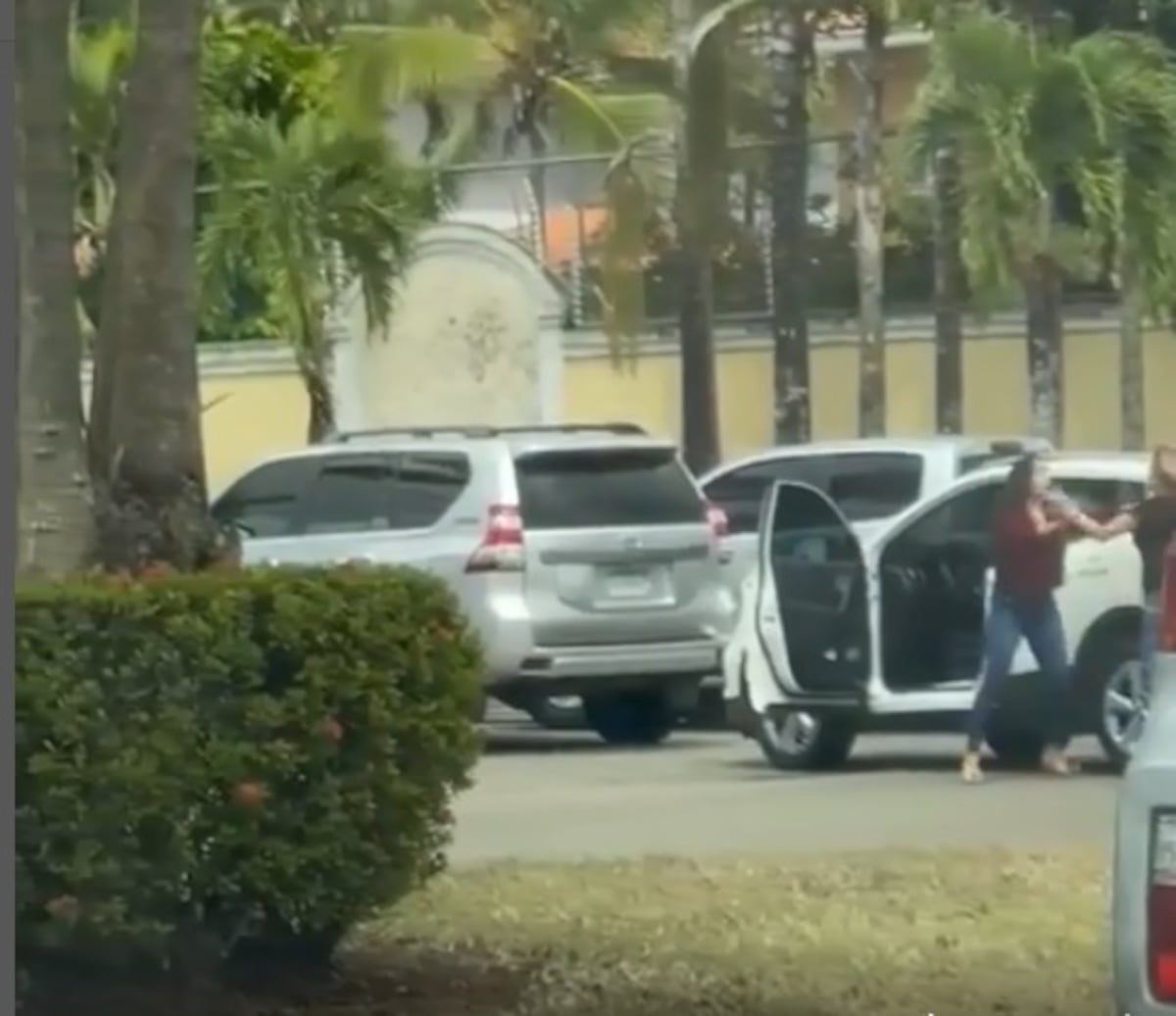 Primer día de clases y ya una madre de familia agarra por las greñas a otra en Costa del Este. Franklyn Robinson dice que es su vecina