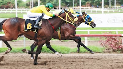 Triple Corona arranca con nueve potros en Panamá