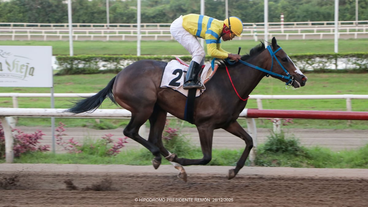 Doña Perfecta cerró la temporada volando en el Remón