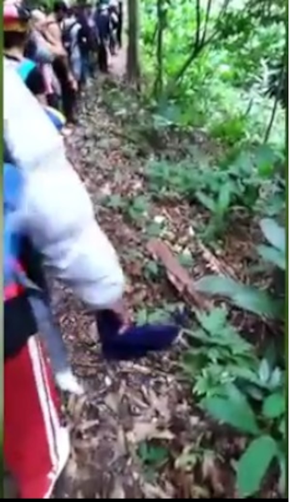 Migrantes habrían muerto por crecida de río en Darién. Emiten alerta mundial