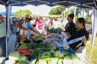Agroferias del IMA este martes: puntos de venta en todo Panamá