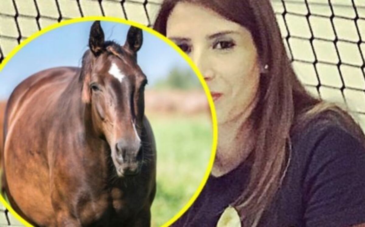 Por llamar caballo a la nueva esposa de su ex, mujer irá a prisión
