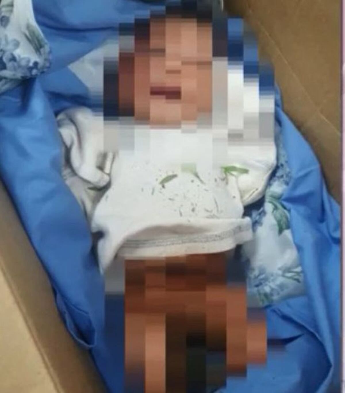 Abandonan a bebé recién nacida en una cajeta. Senniaf investiga
