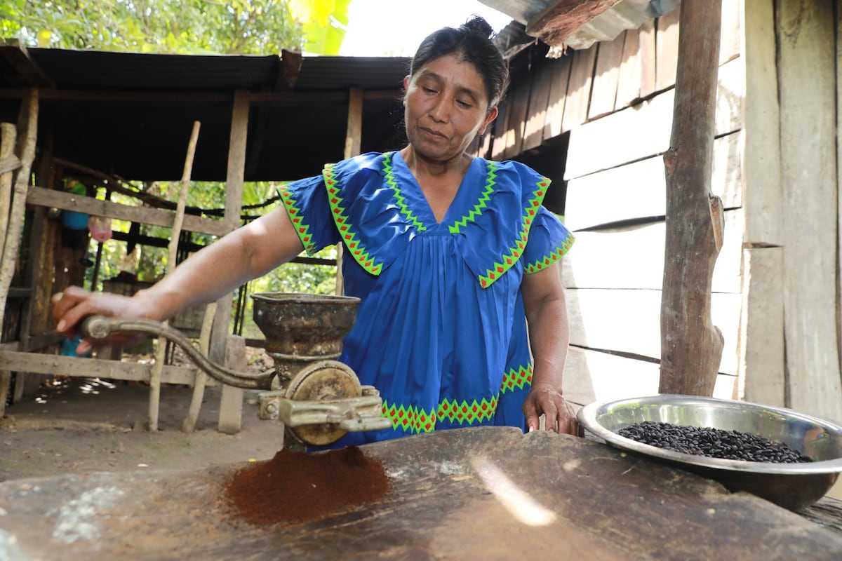De cafetales a la universidad: la historia de Ilda que está cambiando el destino de sus hijos en la comarca