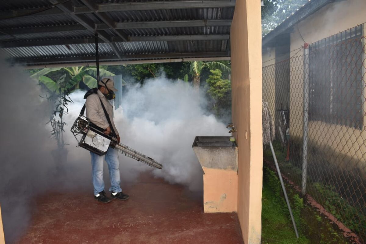 San Miguelito lidera casos de dengue en Panamá, según el Minsa 64 infectados en una semana