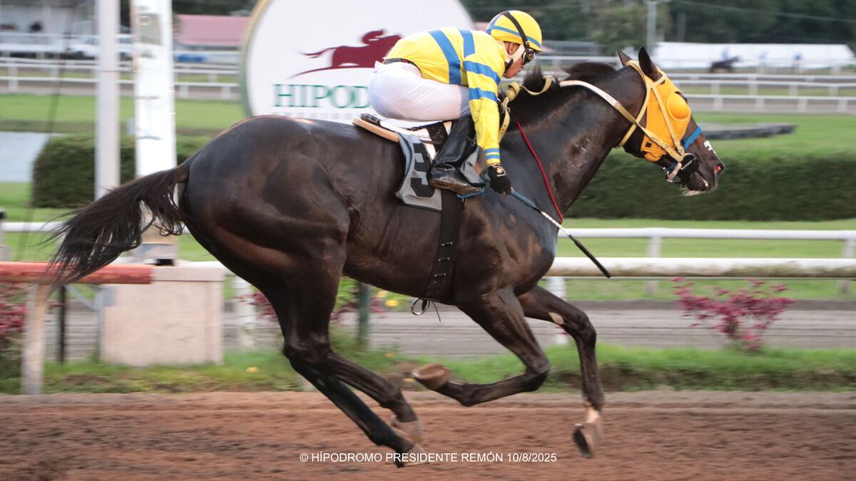 First Front vuela en los 300 finales y gana el ‘Virgilio y Omar Castillo’