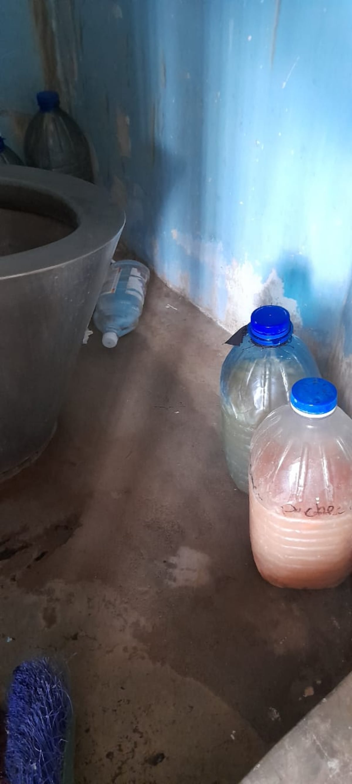 Le friegan la fiesta a adolescentes infractores