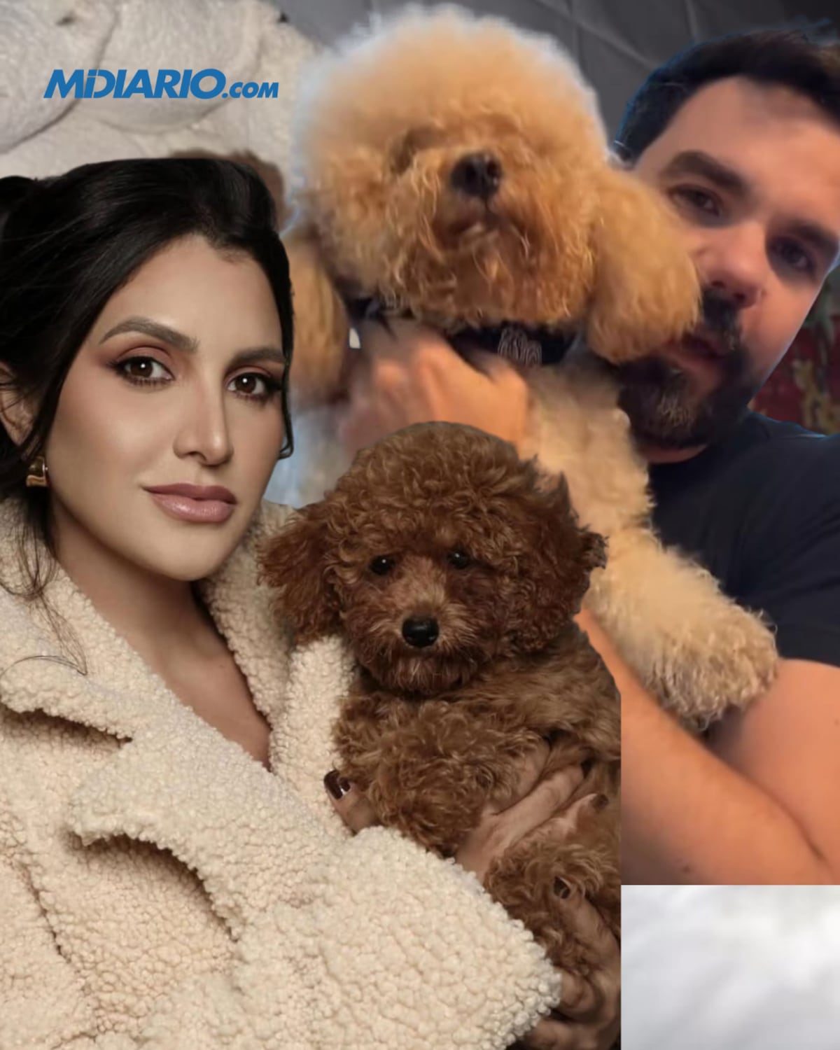 ¡Novela perruna! Katleen Levy y Ochoa se tiran dimes y diretes por crías de Pistacho y Dracarys