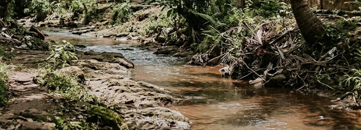 Reciclador es hallado flotando sin vida en quebrada de Cabra