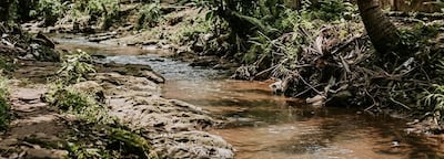 Luto en Las Palmas: niño fallece en quebrada tras un descuido mientras su padre lavaba