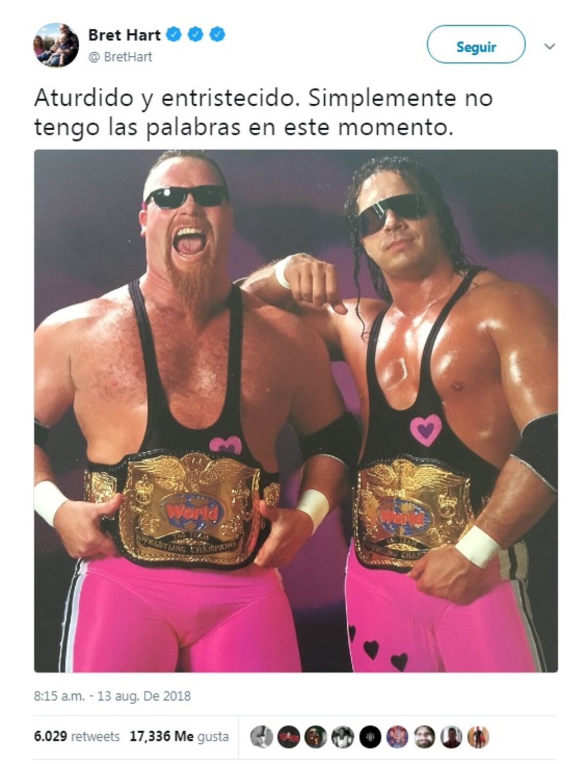 Luchador de la WWE y compañero de Bret Hart falleció tras fuerte caída 