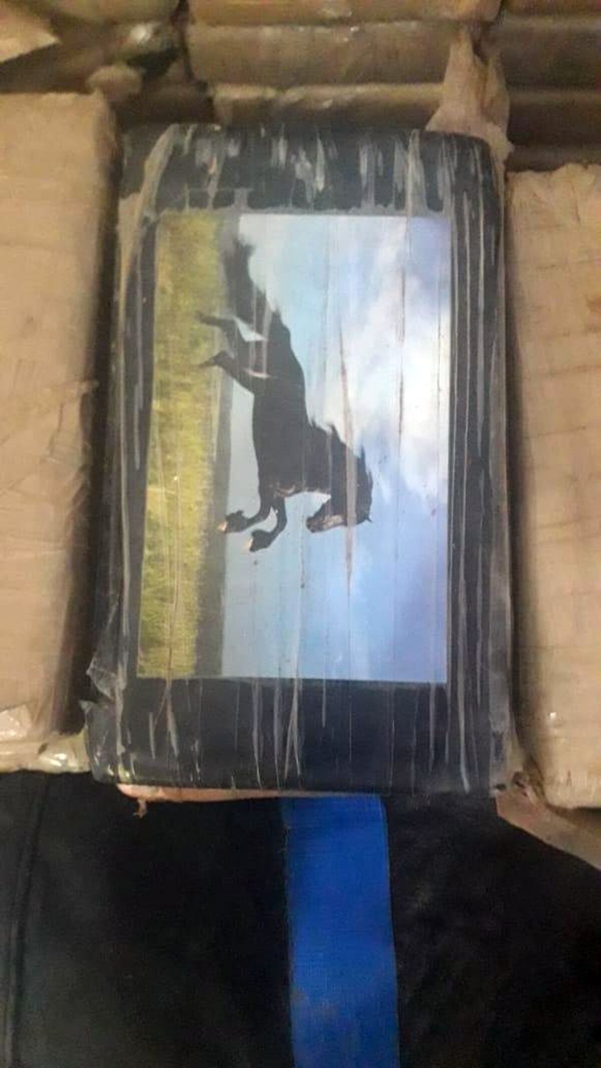 Honduras tumba 160 kilos de droga panameña