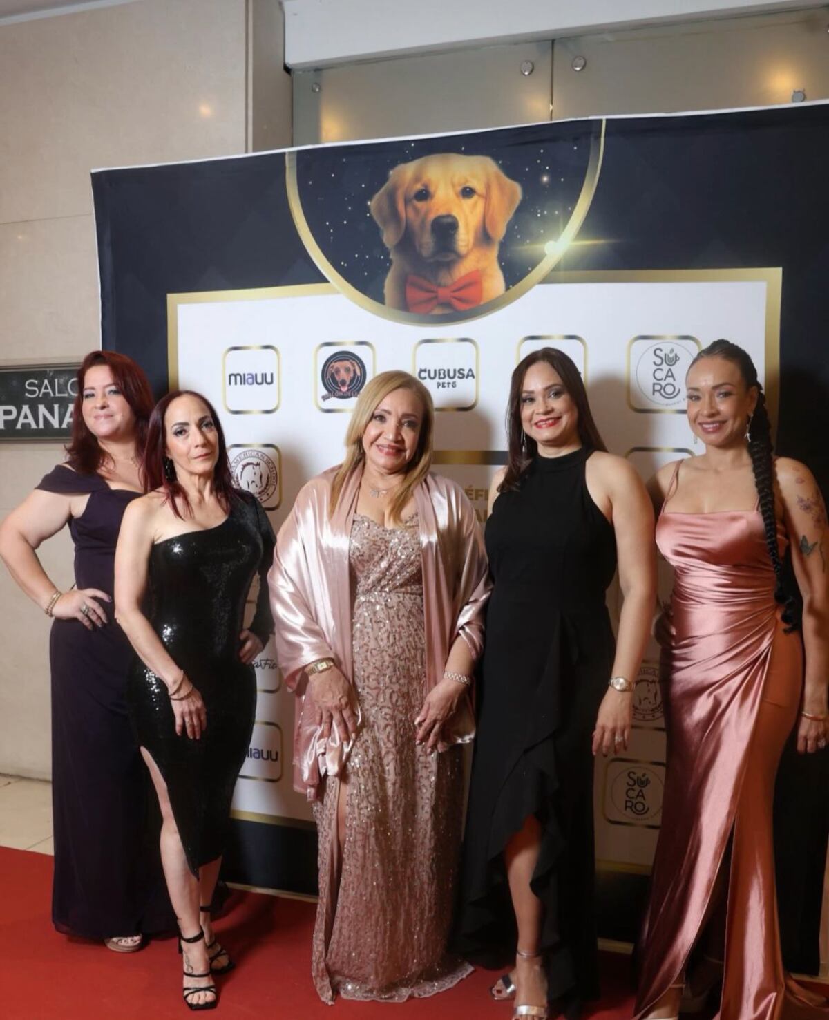 MOCA celebra su primera gala benéfica por los peludos: ‘Vidas que dependen de nosotros’