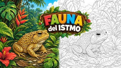 Mi Diario trae la lámina del sapo en ‘Fauna del Istmo’: colorea y aprende sobre este animal panameño