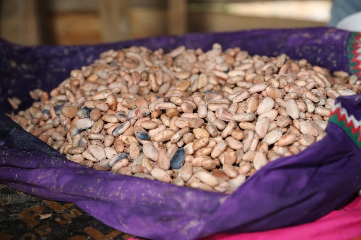 De agricultora a chocolatera: la historia inspiradora de Aleida Montezuma