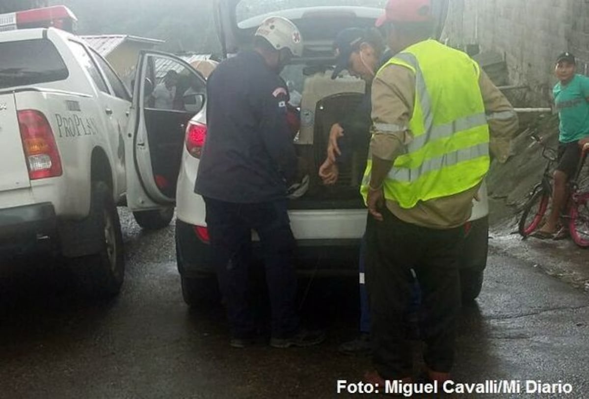 Annette Quinn y su perro rescatista buscan al desaparecido de Nueva Libia