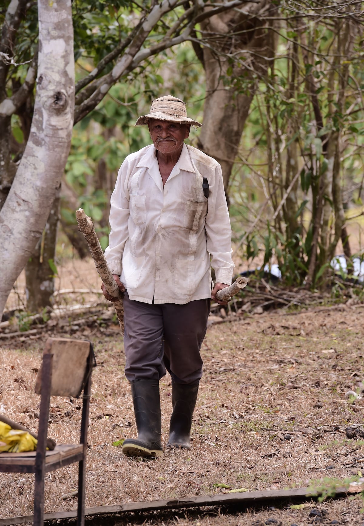 El cristo que los salvó de la guerra y del sarampión