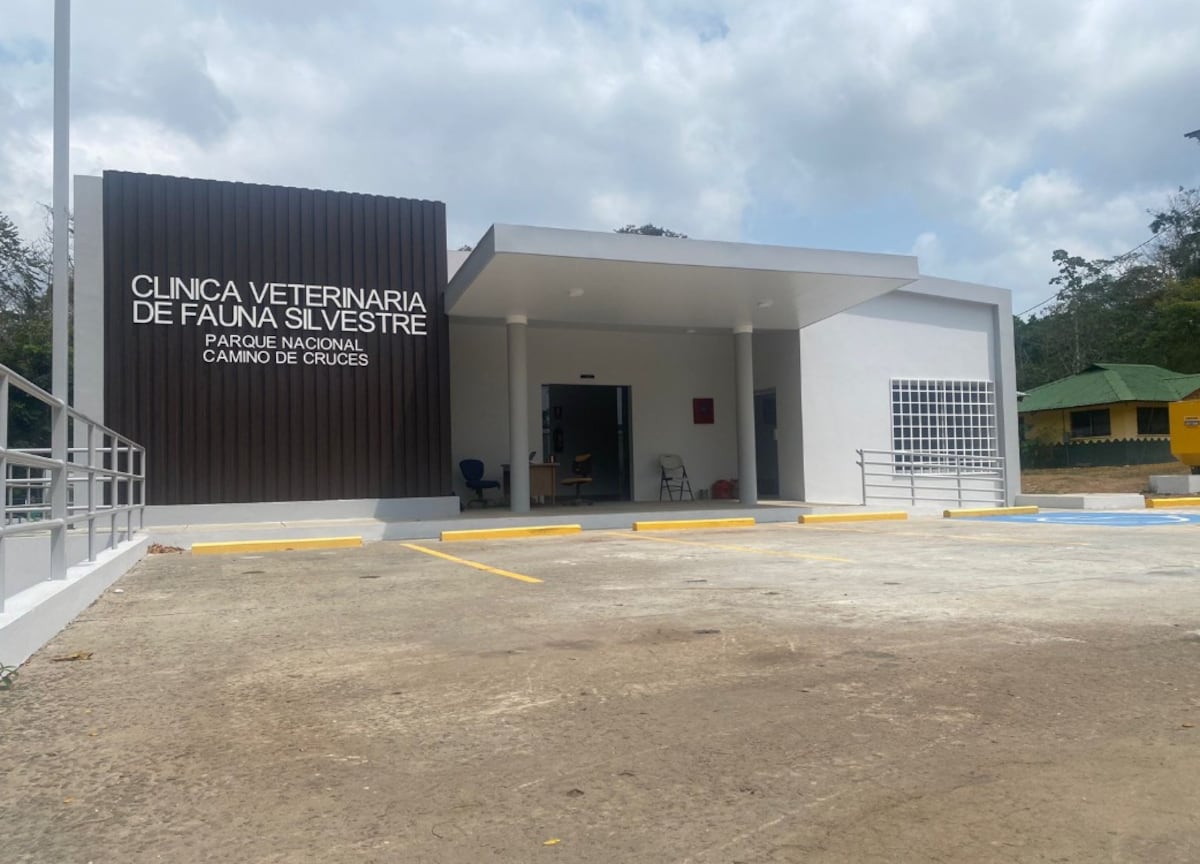 Carlienis exige ver el cuerpo de su mona Karol y MiAMBIENTE revela que el animal tenía tuberculosis transmitido desde un humano