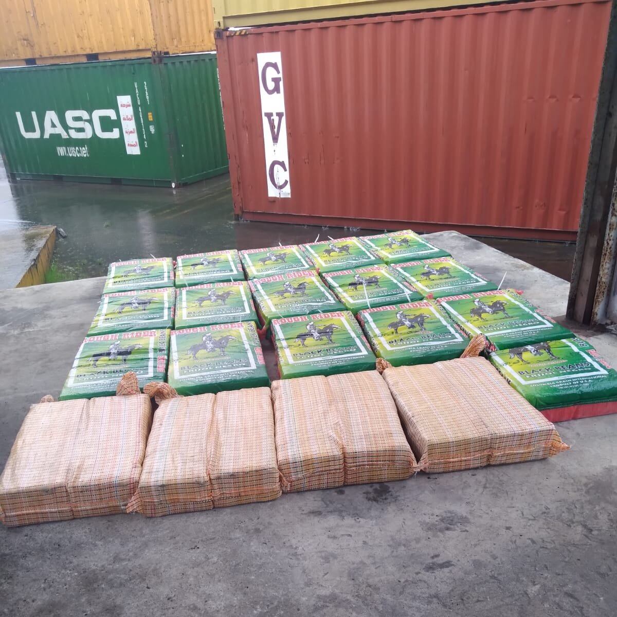 Decomisan más de 500 paquetes de droga dentro de un contenedor en un puerto de Colón