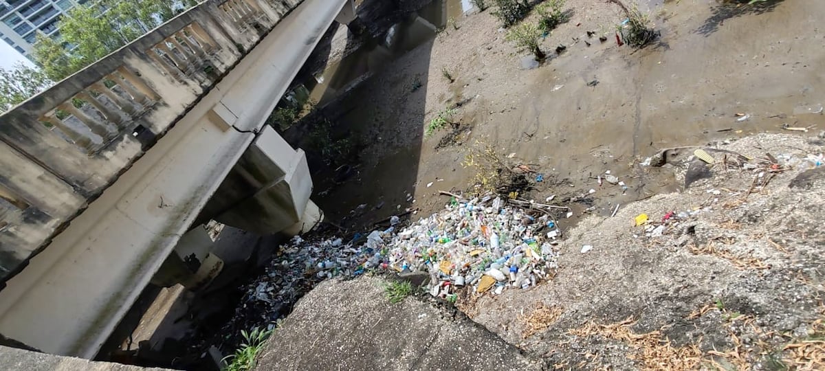 Juan Carlos Navarro alerta: ‘En 2050 habrá más plástico que peces en el mar’