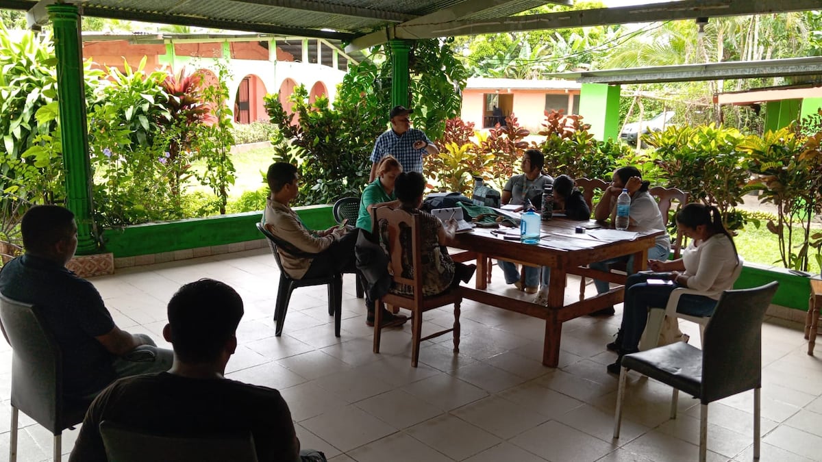 Estudiantes y expertos impulsan empaque y trazabilidad a finca de pitahaya en Panamá Oeste