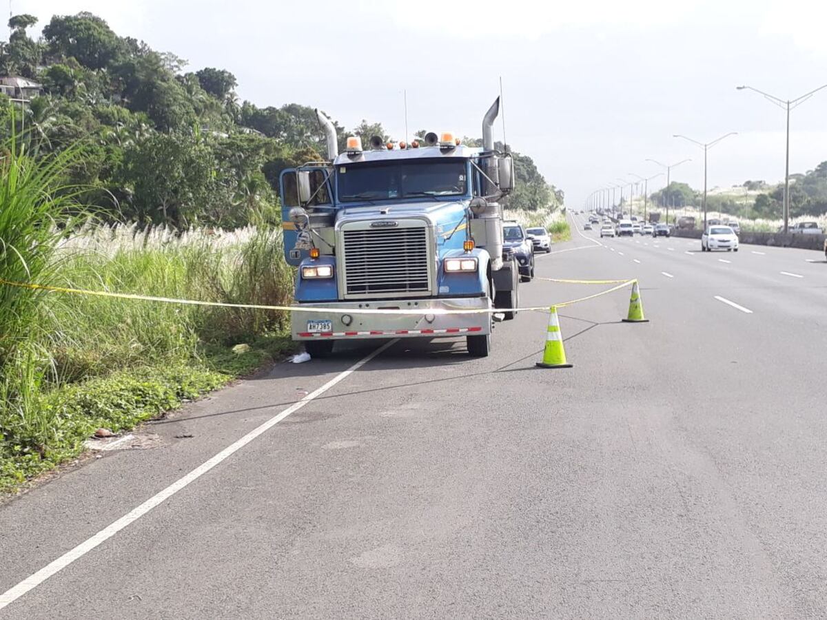 ¿Será robada? En Westland encuentran mula abandonada