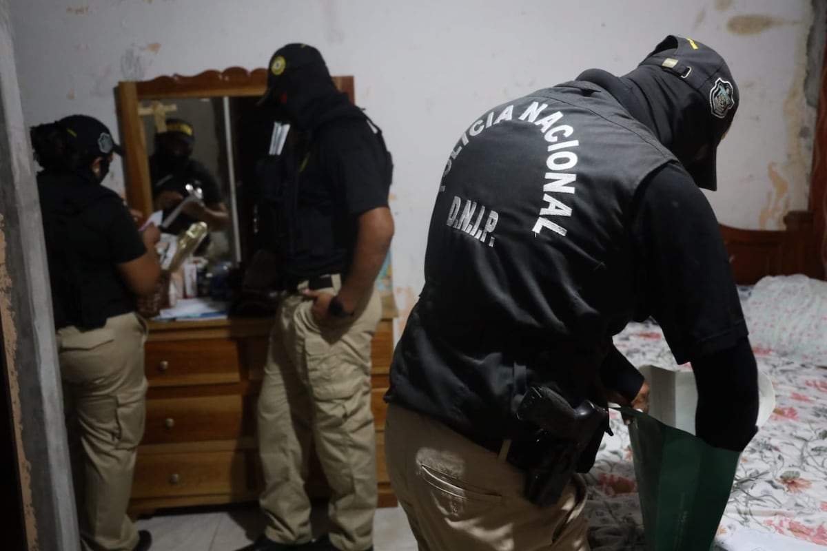 Operación Vaquero sacude Azuero: 19 aprehendidos por presunto hurto de ganado