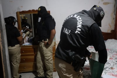 Operación Vaquero sacude Azuero: 19 aprehendidos por presunto hurto de ganado