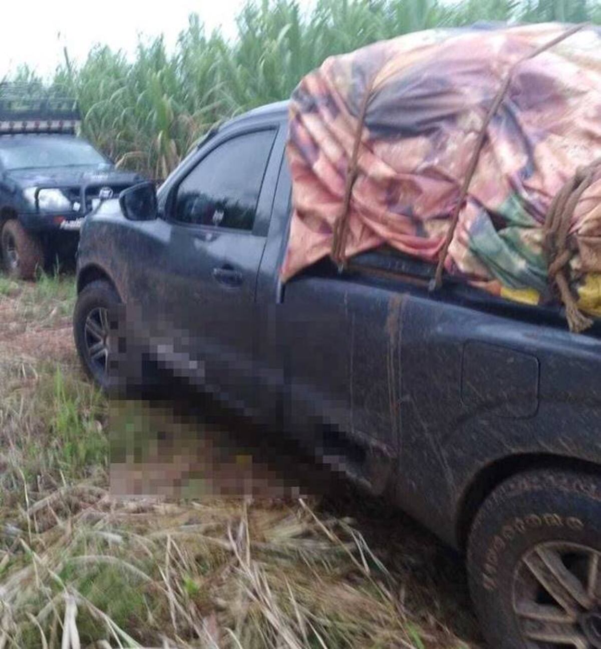 En Ocú la Policía atrapa a banda roba yucas